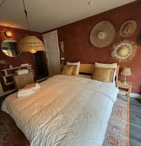 Gasthuis Toast By Night Haarlem